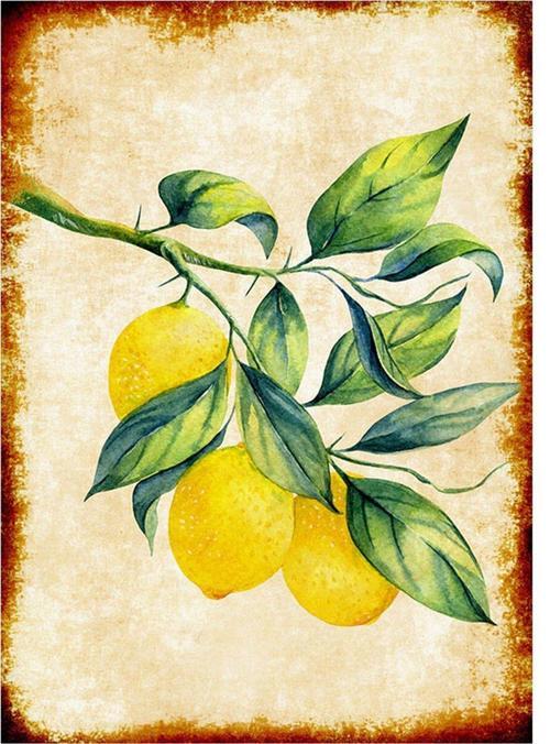 Limon Ağacı Hediyelik Ahşap Tablo