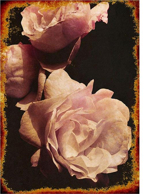 Pembe Güller Tasarım Mdf Tablo