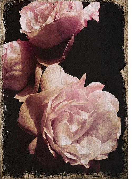 Pembe Güller Art Mdf Poster