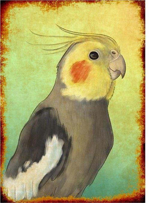 Eski Motorsiklet Modern Mdf Tablo