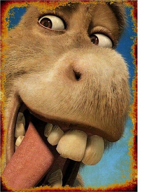 Shrek Eşek Dekoratif Ahşap Tablo
