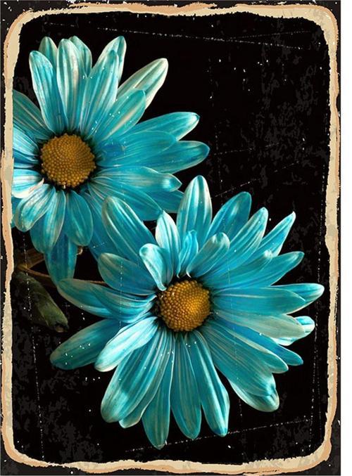 Antik Terazi Kadın Modern Mdf Tablo