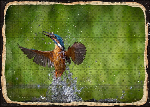 Ahşap Mdf Puzzle Yapboz Avcı Kuş 500 Parça 50*70 Cm