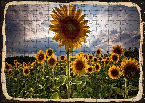 Ahşap Mdf Puzzle Yapboz Ay Çiçek Tarlası 120 Parça 25*35 Cm