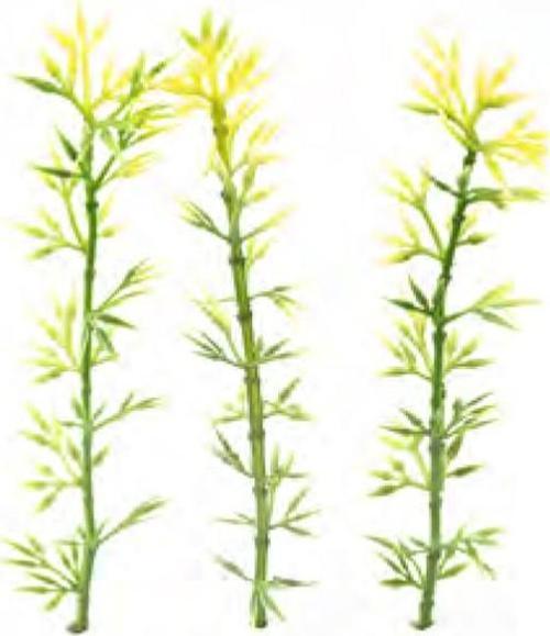 Maket Bambu Yeşil 8cm