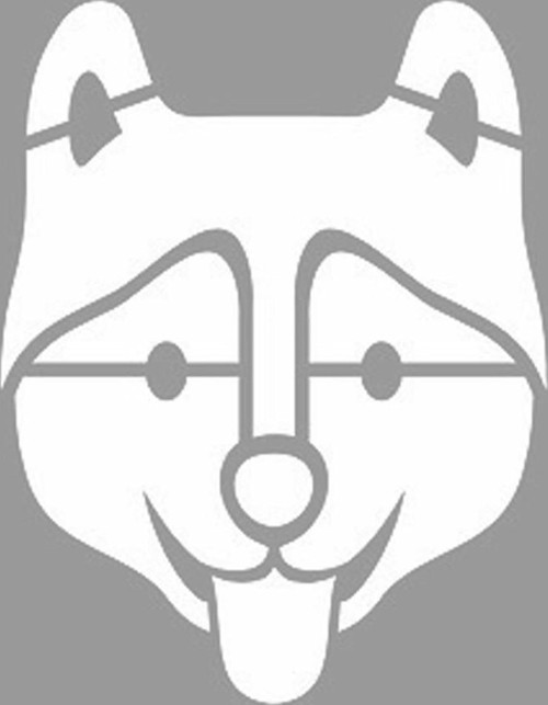 Husky Köpeği Stencil Boyama şablonu 30x30 cm, Duvar Stencil, Fayans Stencil, Mobilya Stencil
