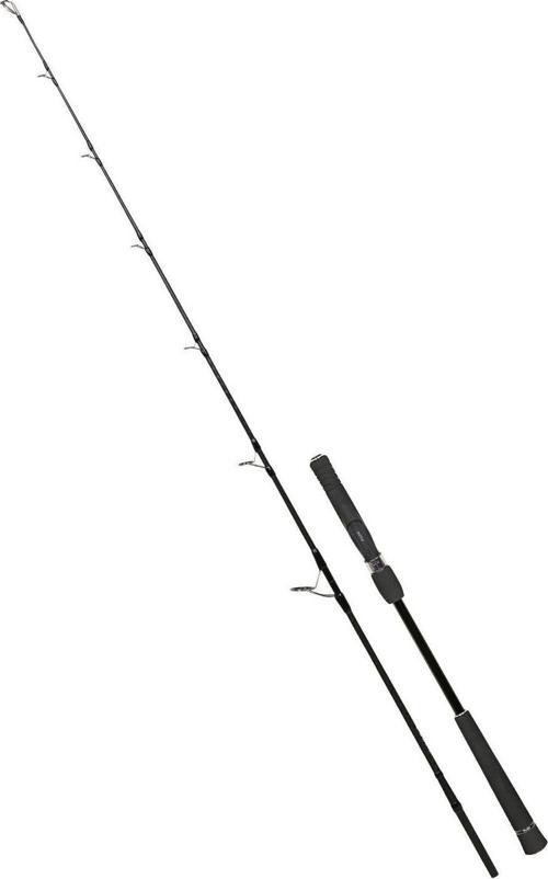 Valhalla Bigsea 178cm 250gr Speed Jig Live Bait Kamışı