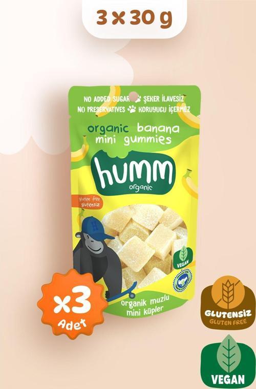 Organik Glutensiz Vegan Muzlu Mini Küpler - 30 G X 3 Adet