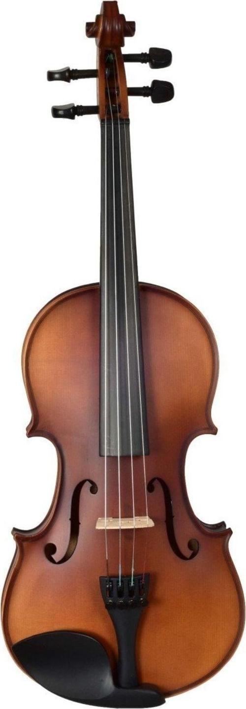 Vk220 4/4 Keman Masif