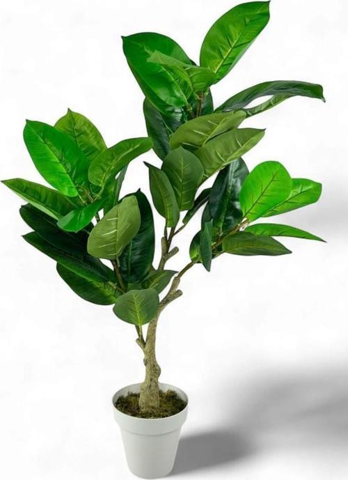 Yapay Çiçek Kauçuk Ağacı 85 cm Salon Çiçeği Beyaz Saksılı Yapay Bitki