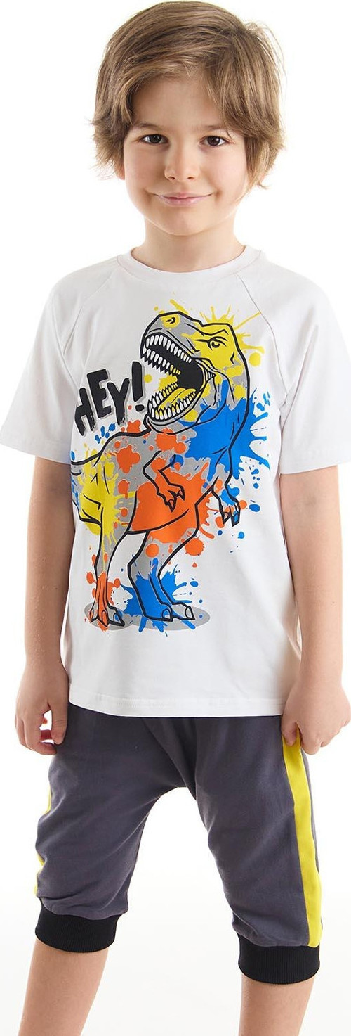 Dino Splash Erkek Çocuk T-shirt Kapri Şort Takım