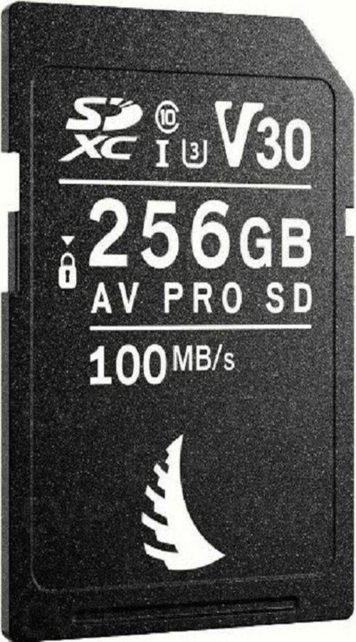Av Pro Sd 256 Gb V30 Sd Kart