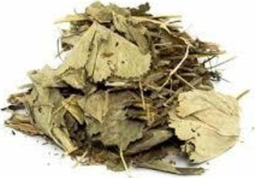 Dökme Bitkiler Aslan Pençesi -100 gr