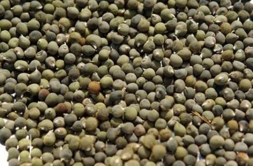 Dökme Baharat Bamya Tohumu 250 Gr