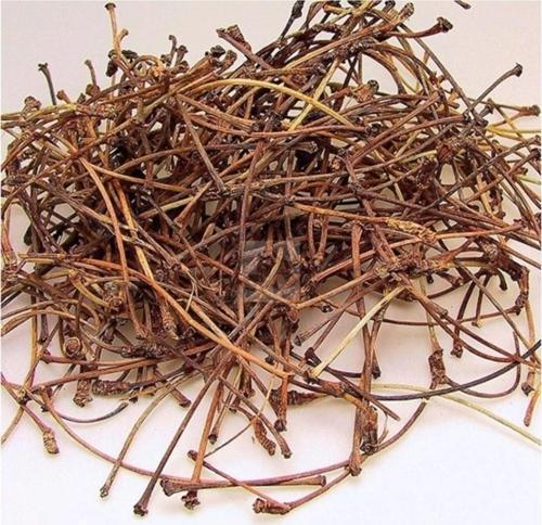Dökme Bitkiler Kiraz Sapı -100 Gr