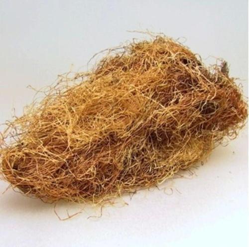 Dökme Bitkiler Mısır Püskülü -100 Gr