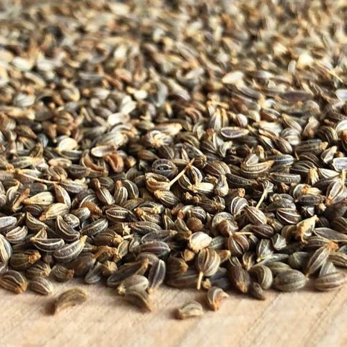 Dökme Tohumlar Maydanoz Tohumu - 250 Gr