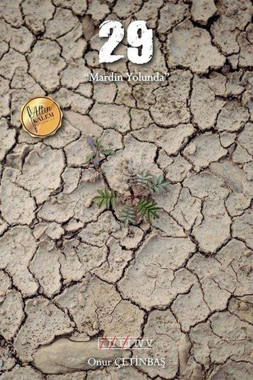 29-Mardin Yolunda