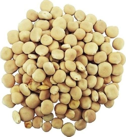 Dökme Bakliyat Acı Bakla/yahudi Baklası - 100 Gr