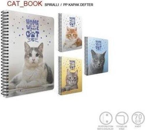 CatBook Spiralli Pp Kpk.Def. A4 80 Yp.Kare