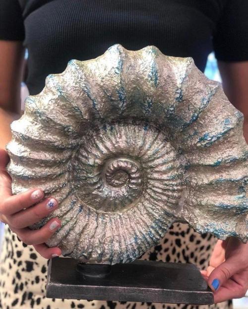 Ammonite Fosil Dekor