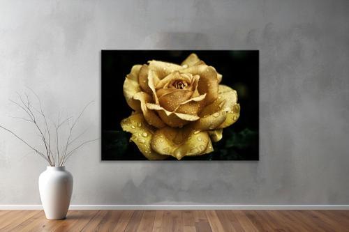 Dekoratif Çiçekler YatayKanvas Tablo 58