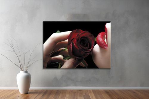 Dekoratif Çiçekler  YatayKanvas Tablo 70 