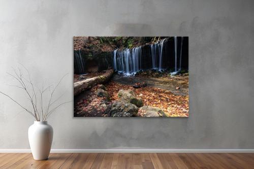 Dekoratif Doğa ( Nature ) Kanvas Tablo  02 