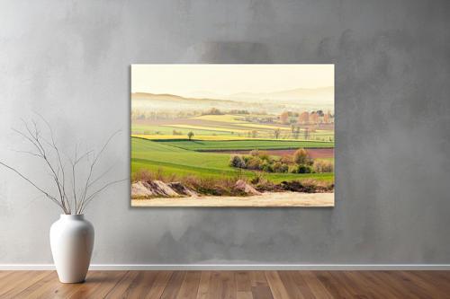 Dekoratif Doğa ( Nature ) Kanvas Tablo  100 