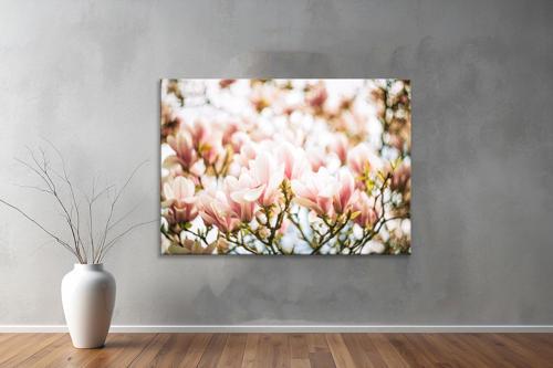 Dekoratif Çiçekler  YatayKanvas Tablo 01 