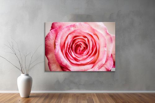 Dekoratif Çiçekler  YatayKanvas Tablo 02 