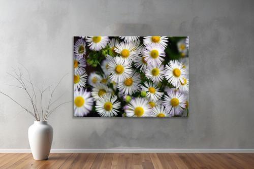 Dekoratif Çiçekler  YatayKanvas Tablo 18 