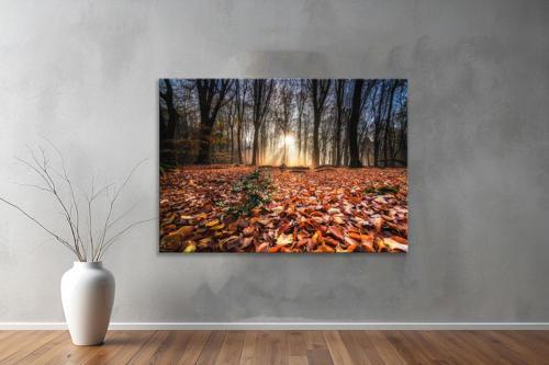 Dekoratif Doğa ( Nature ) Kanvas Tablo  120 