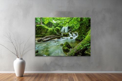 Dekoratif Doğa ( Nature ) Kanvas Tablo  134 