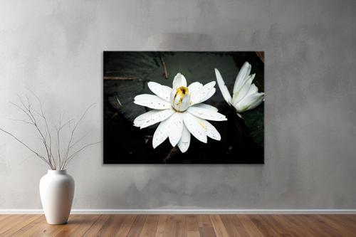 Dekoratif Çiçekler  YatayKanvas Tablo 36 