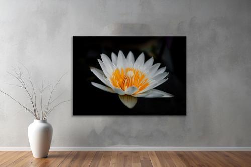 Dekoratif Çiçekler  YatayKanvas Tablo 40 