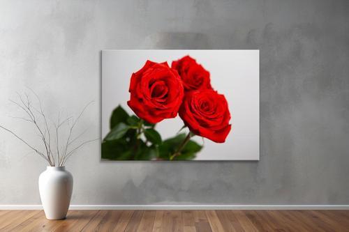 Dekoratif Çiçekler  YatayKanvas Tablo 41 