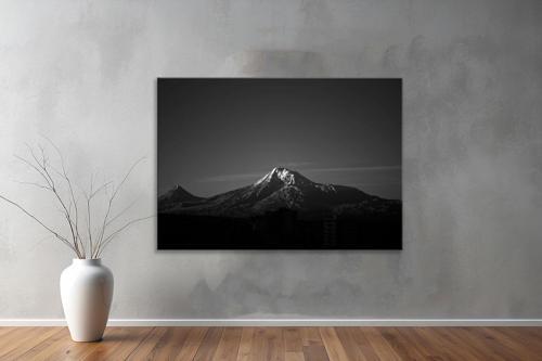 Dekoratif Doğa ( Nature ) Kanvas Tablo  153 