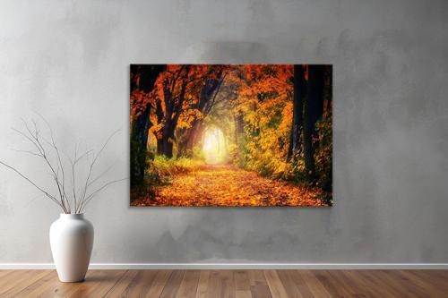 Dekoratif Doğa ( Nature ) Kanvas Tablo  33 