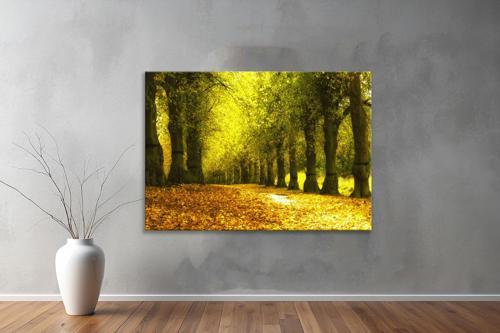 Dekoratif Doğa ( Nature ) Kanvas Tablo  164 