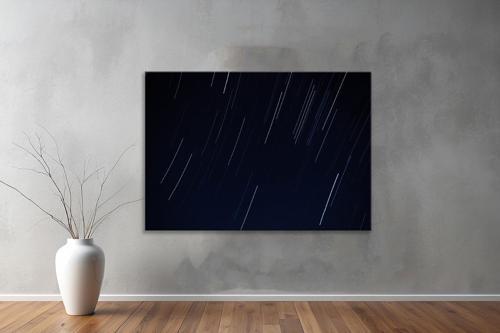 Dekoratif Doğa ( Nature ) Kanvas Tablo 349