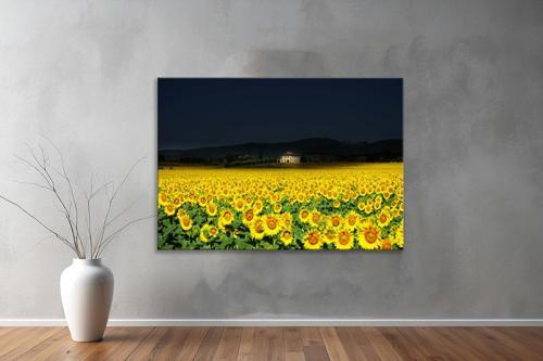 Dekoratif Doğa ( Nature ) Kanvas Tablo  351 