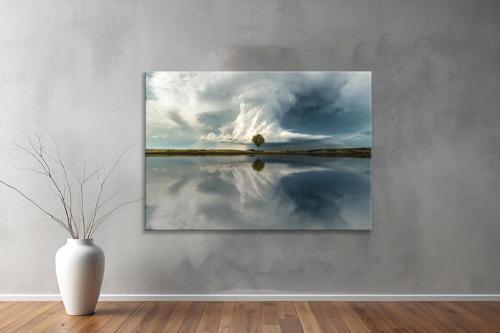 Dekoratif Doğa ( Nature ) Kanvas Tablo  354 