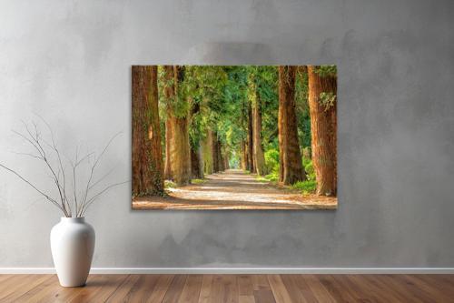 Dekoratif Doğa ( Nature ) Kanvas Tablo  36 