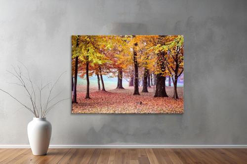 Dekoratif Doğa ( Nature ) Kanvas Tablo 188