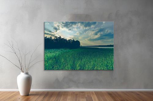 Dekoratif Doğa ( Nature ) Kanvas Tablo  363 