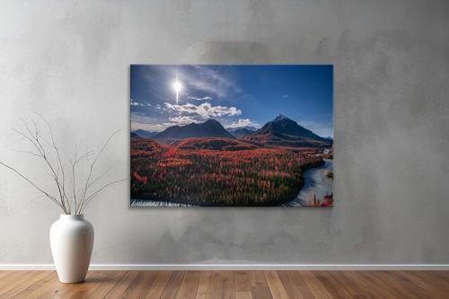 Dekoratif Doğa ( Nature ) Kanvas Tablo  364 