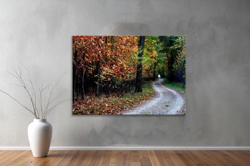 Dekoratif Doğa ( Nature ) Kanvas Tablo  190 