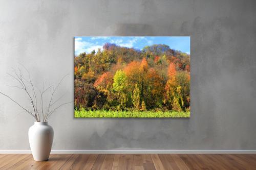 Dekoratif Doğa ( Nature ) Kanvas Tablo 191