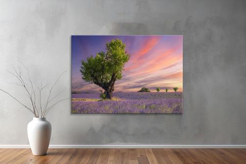 Dekoratif Doğa ( Nature ) Kanvas Tablo  373 